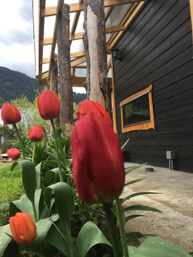 Cabanas Senderos Puyuhuapi Esterno foto